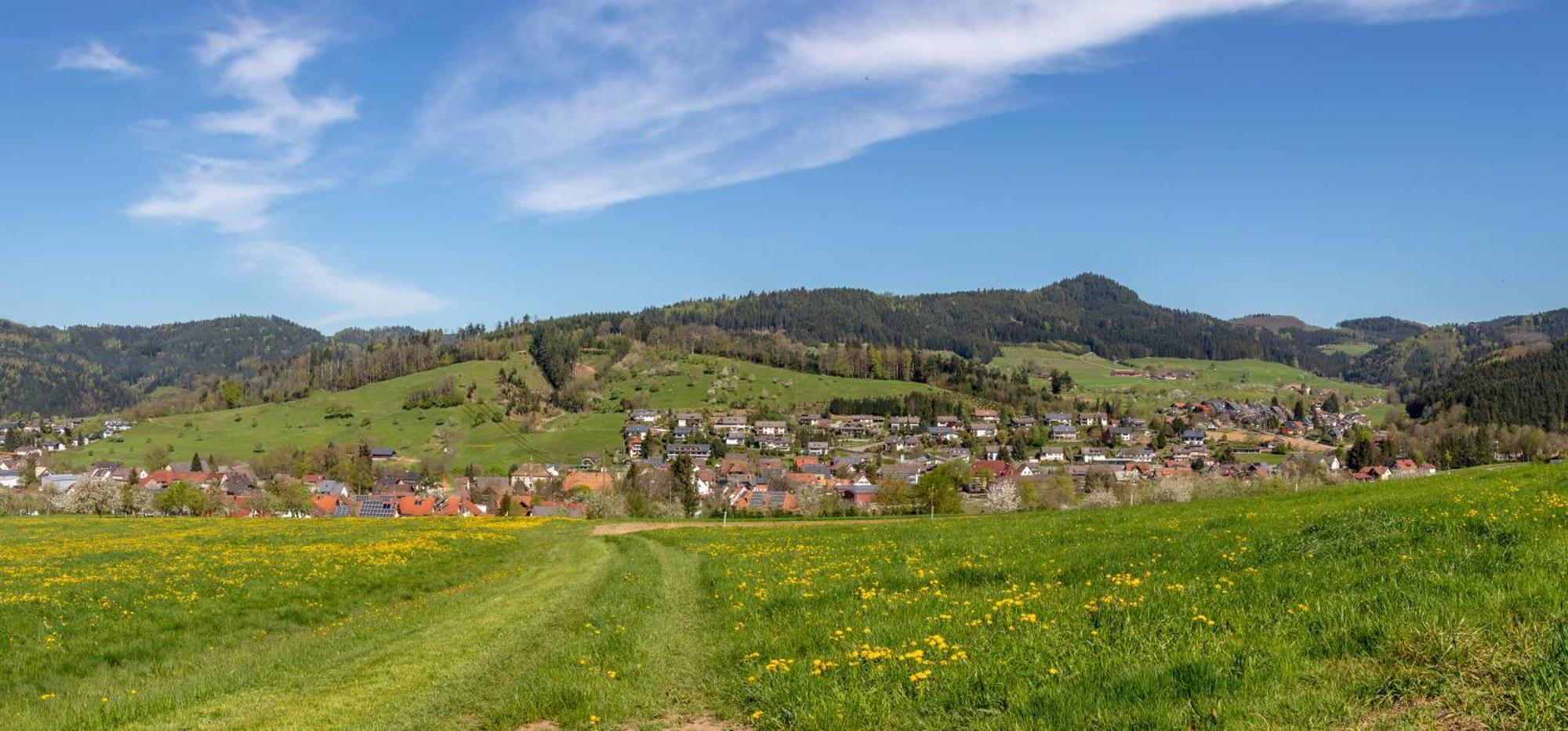 Apartament Haus Irmgard Zell am Harmersbach Zewnętrze zdjęcie