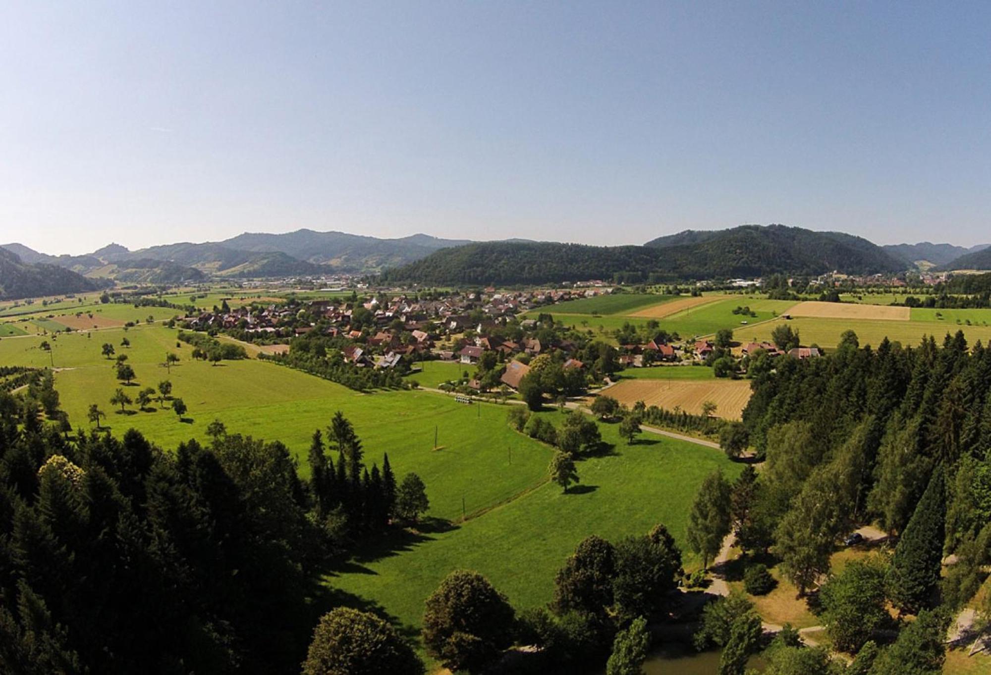 Apartament Haus Irmgard Zell am Harmersbach Zewnętrze zdjęcie